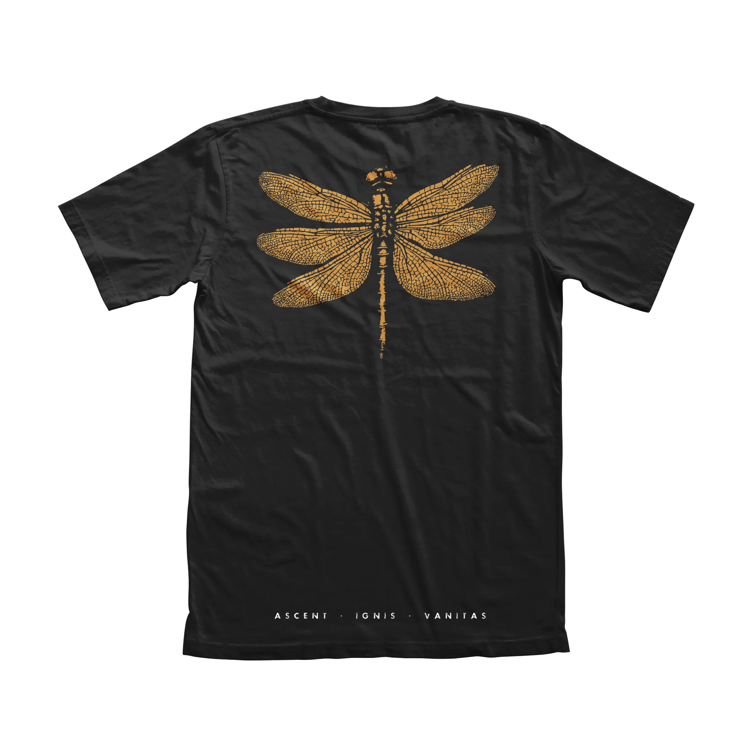 ASCENT · IGNIS · VANITAS